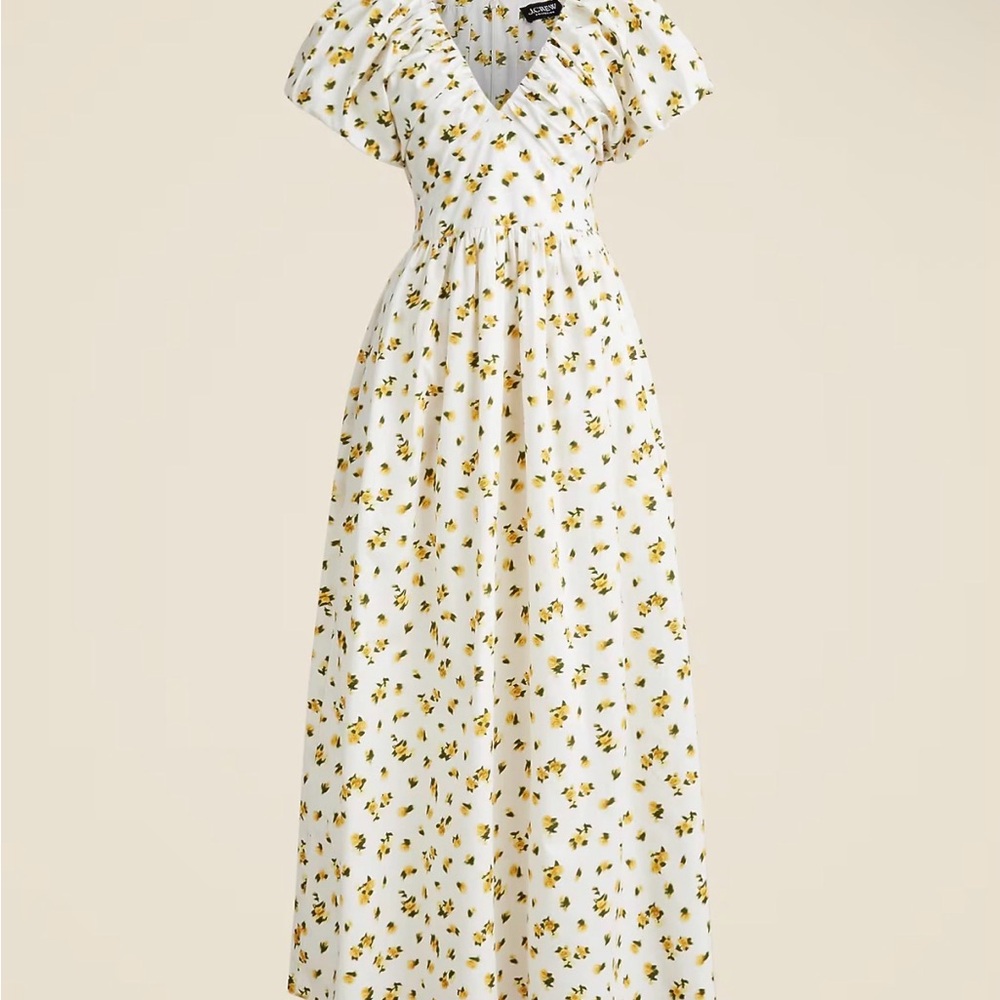 J. Crew Cecily Dress